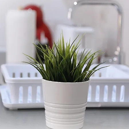 Apto Turistico Plaza Del Mercado 1.2 Chalet