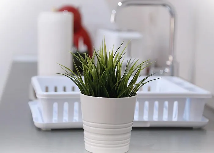 Apto Turistico Plaza Del Mercado 1.2 Chalet